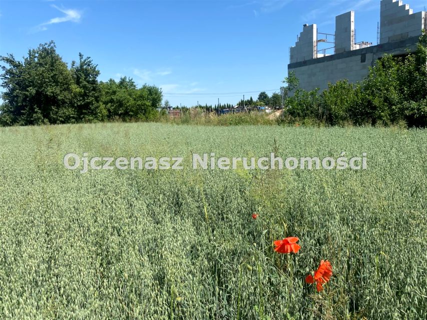 Zdjęcie 2