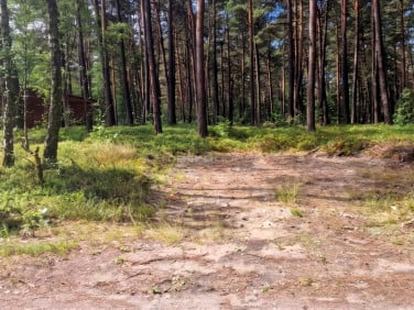 Działka budowlana Żarki-Letnisko