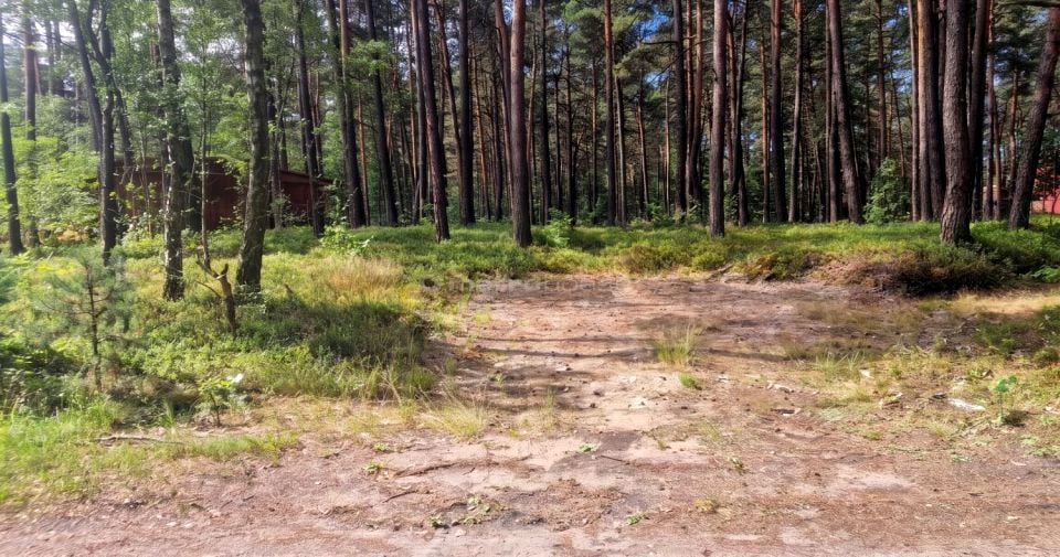 Działka budowlana Żarki-Letnisko