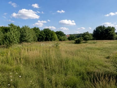 Działka budowlana Mogilno Duże