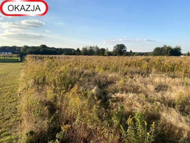 Działka Koluszki