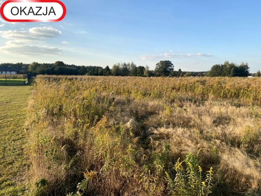 Działka Koluszki