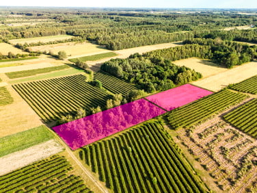 Działka Karnice