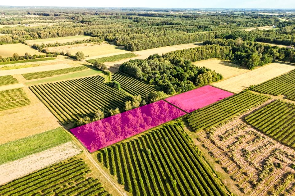 Działka Karnice