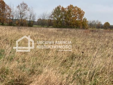 Działka rolna Kierzkowo