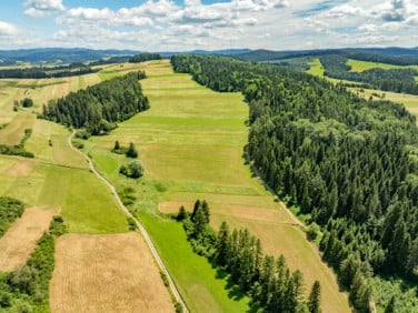 Działka rolna Niedzica