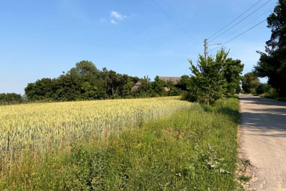 Działka budowlana Dodów