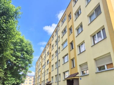 Mieszkanie Brzeg Dolny