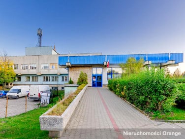 Lokal Limanowa