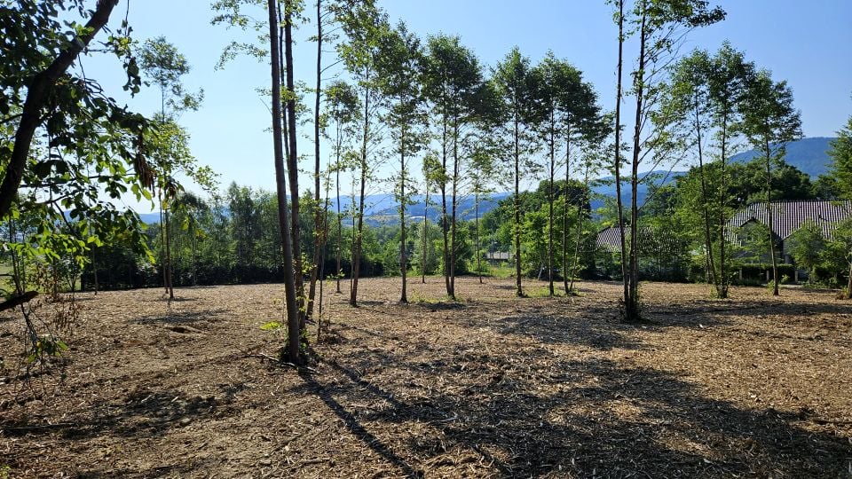 Działka budowlana Targanice