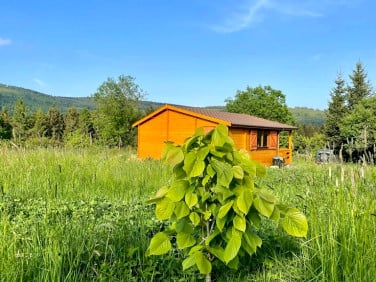 Działka Sierpnica
