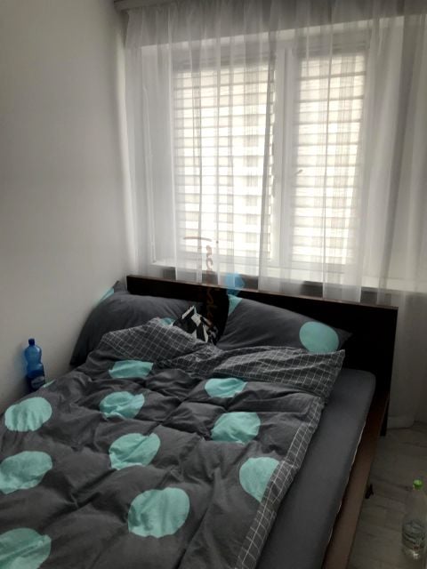 Zdjęcie 3