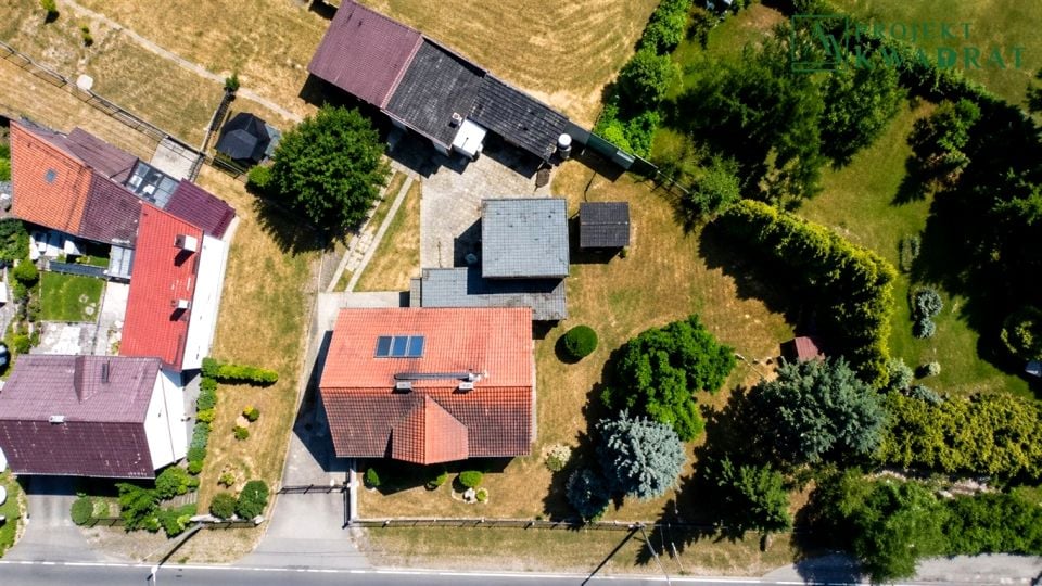 Zdjęcie 3