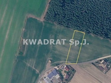 Działka budowlana Grabów-Wójtostwo sprzedam