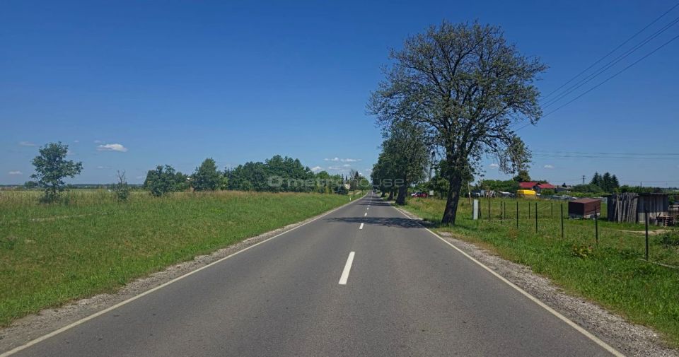 Zdjęcie 2