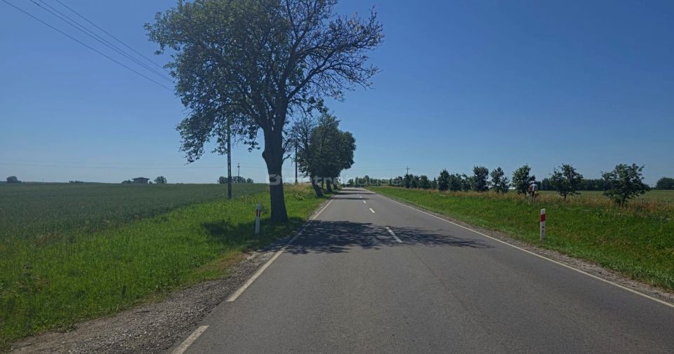 Zdjęcie 3