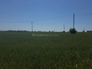 Działka budowlana Nieżychowice