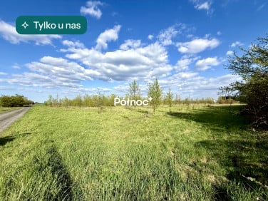 Działka budowlana Dryżyna