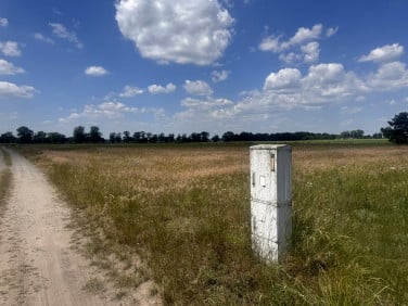 Działka Kłecko