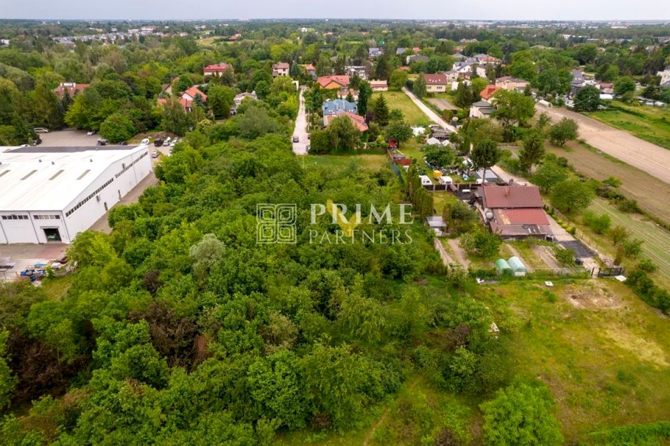 Zdjęcie 3