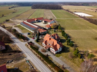 Dom Wielka Lipa