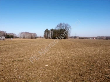 Działka Szczytnik