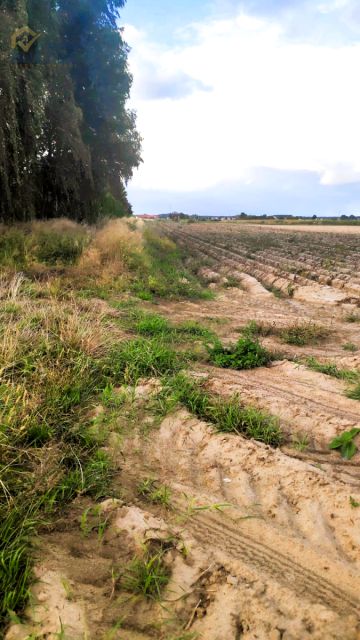 Zdjęcie 2