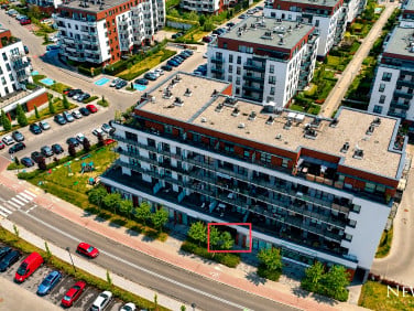 Lokal Katowice