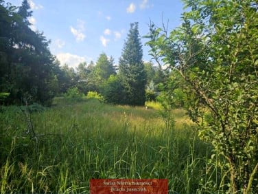 Działka Sosnówka