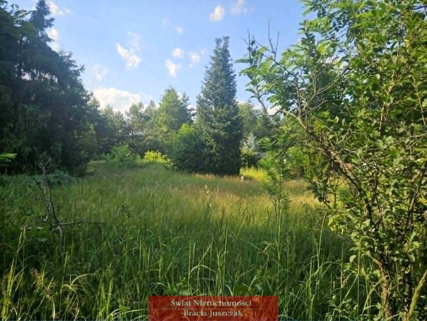 Działka Sosnówka