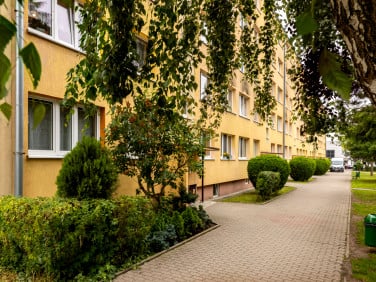 Mieszkanie Brodnica sprzedaż