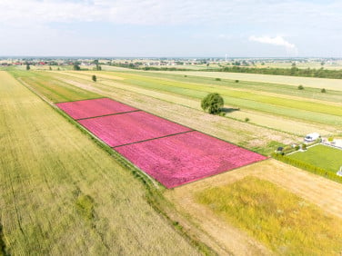 Działka budowlana Longinówka sprzedam