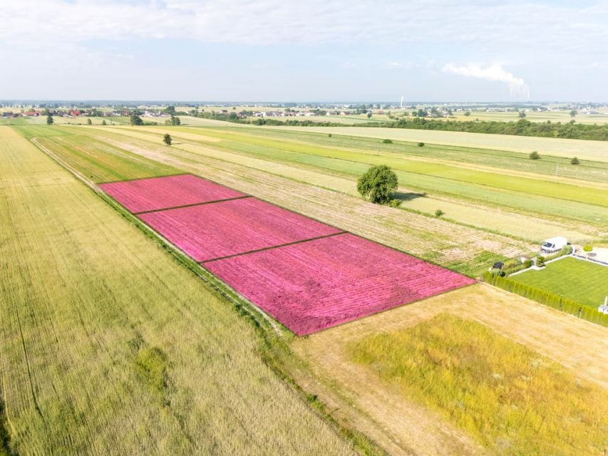 Działka budowlana Longinówka sprzedam