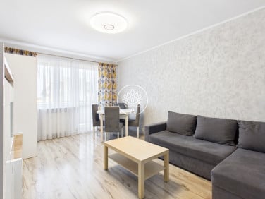 Mieszkanie Toruń sprzedaż