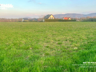 Działka Pisarzowice