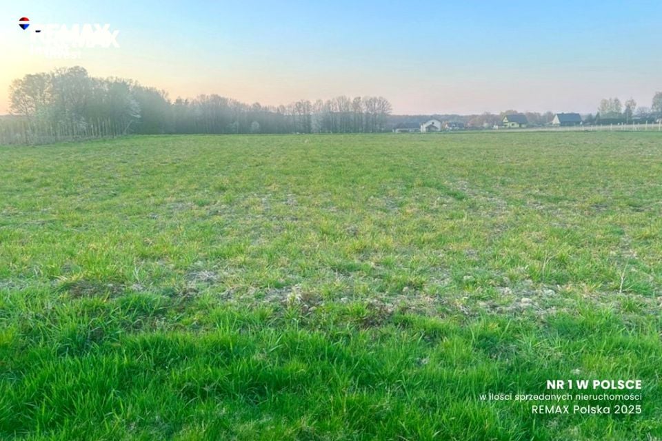 Działka Pisarzowice