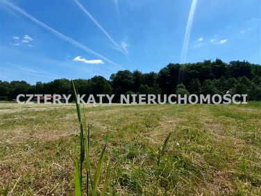 Działka budowlana Pielgrzymowice