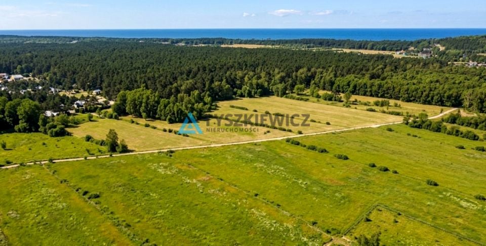 Zdjęcie 2