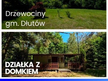 Działka rekreacyjna Drzewociny