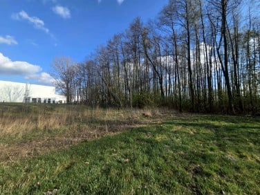 Działka inwestycyjna Mszczonów