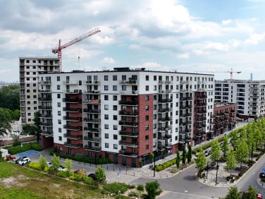 Lokal Wrocław