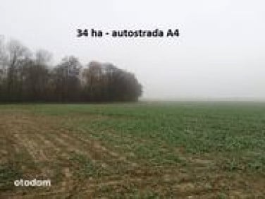 Działka przemysłowa Karnice