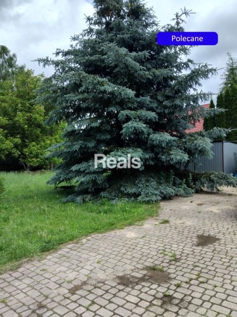 Działka Wielgolas Brzeziński