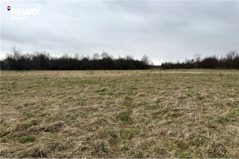 Działka Jankowice