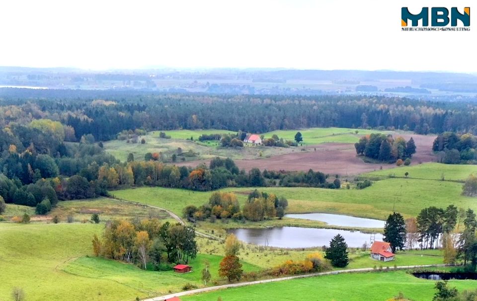 Zdjęcie 2