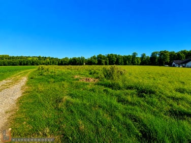 Działka budowlana Januszowice