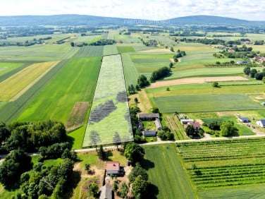 Działka rolna Grzegorzowice