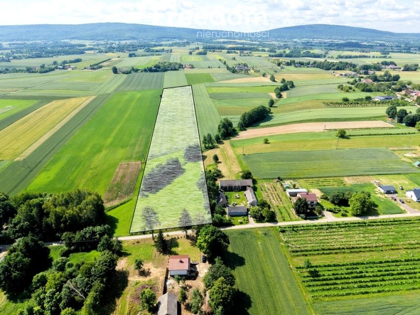 Działka rolna Grzegorzowice