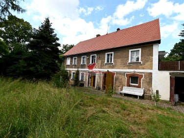 Dom Wilków