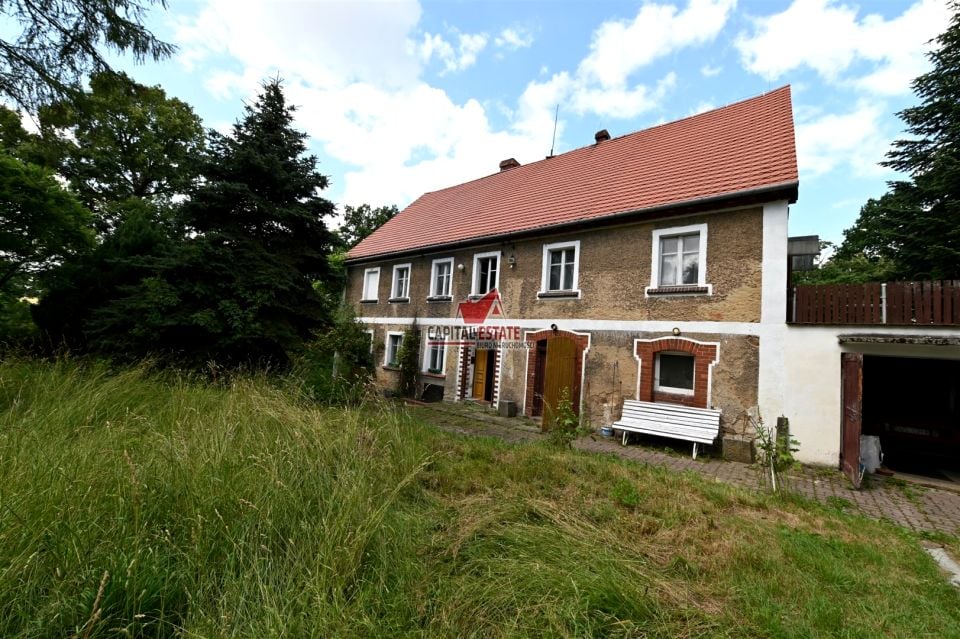 Dom Wilków